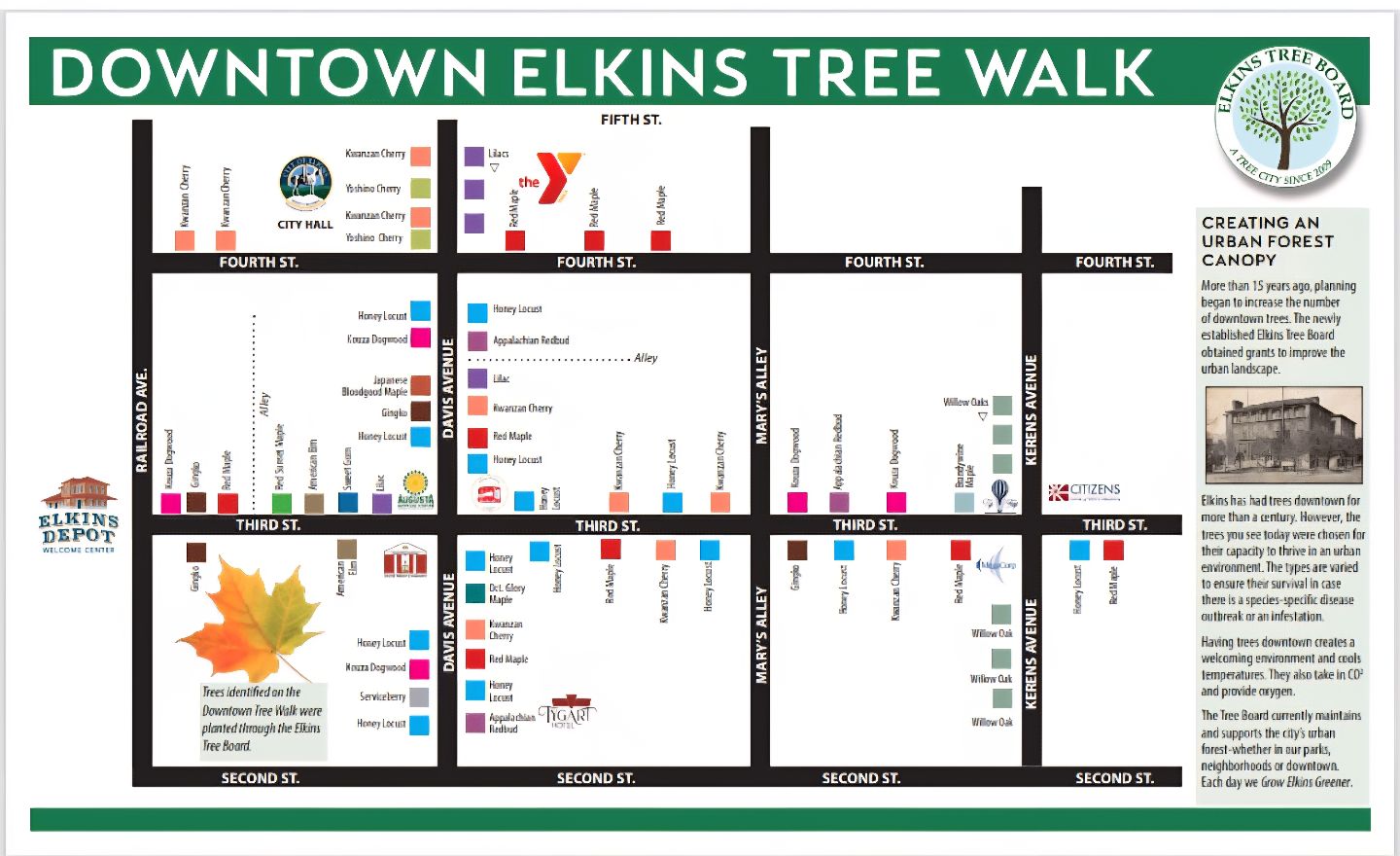 Elkins WV Tree Map Walking Tour