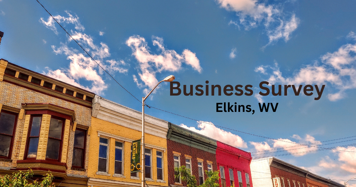 An image promoting a small business survey being led by Davis & Elkins College, the local Chamber, and City of Elkins.