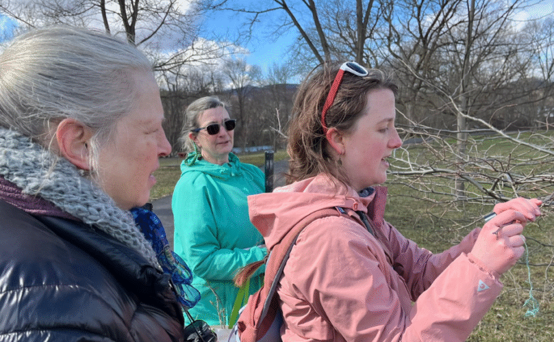 Residents of Elkins, WV, enjoying a winter walk for tree identification and birding.