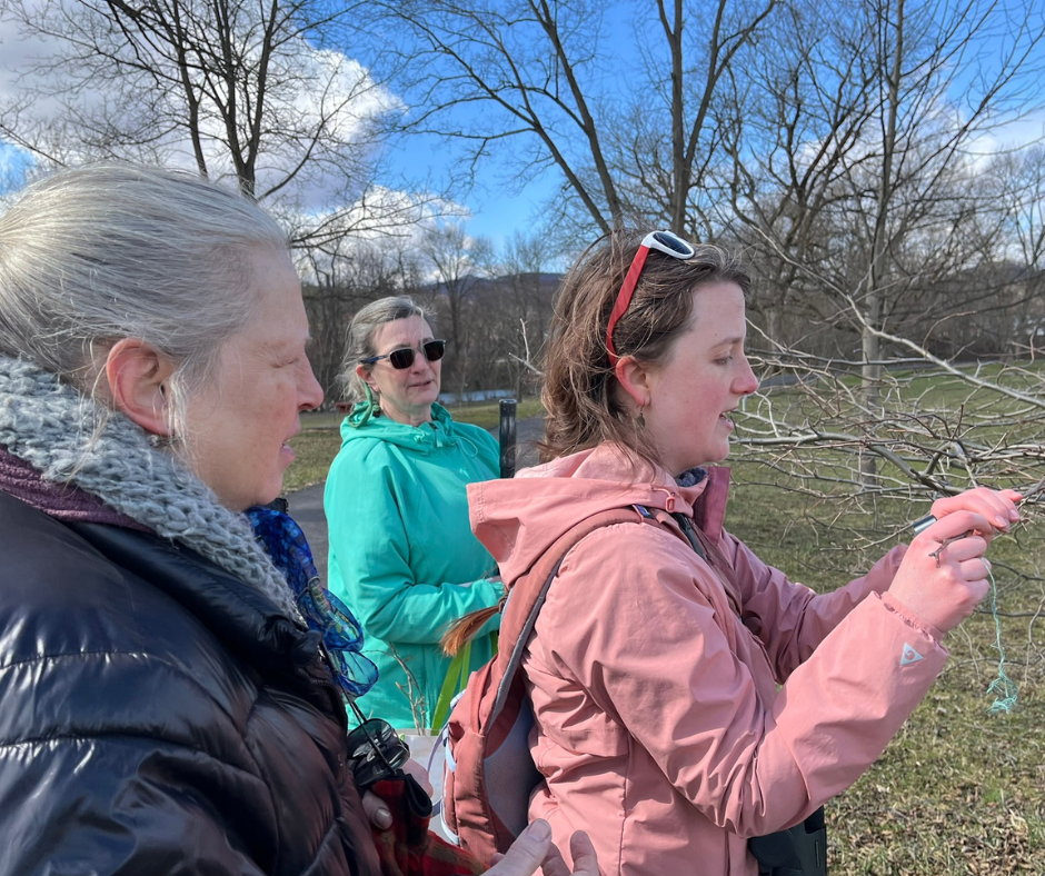 Residents of Elkins, WV, enjoying a winter walk for tree identification and birding.